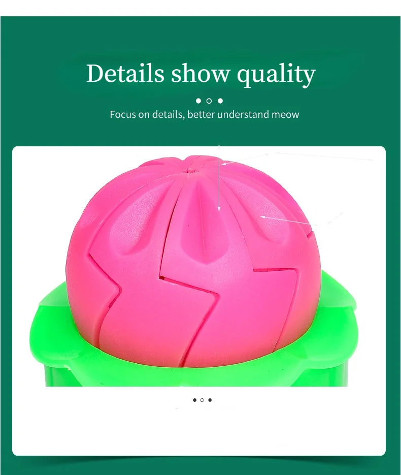 Baozi Mold – Easy &amp; Stylish Bun Maker