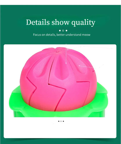 Baozi Mold – Easy &amp; Stylish Bun Maker